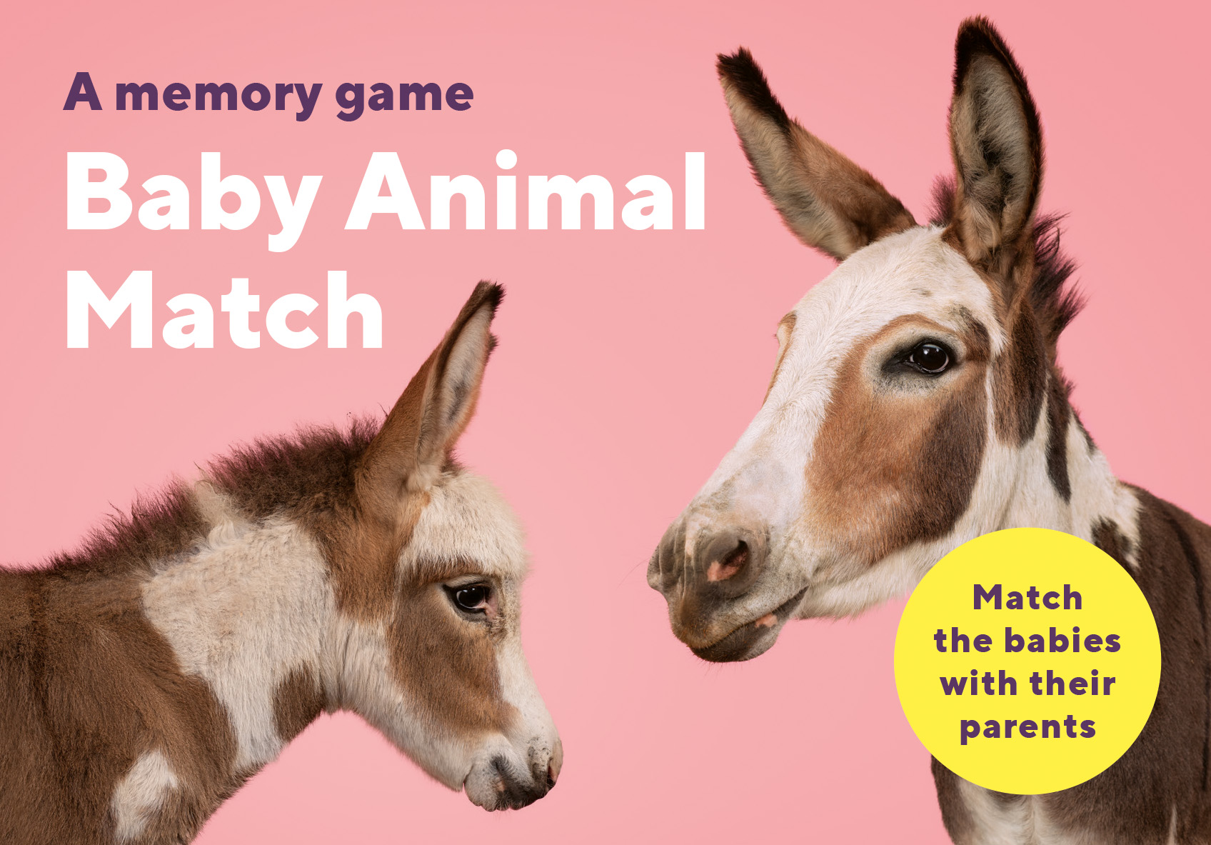 Baby Animal Match cover