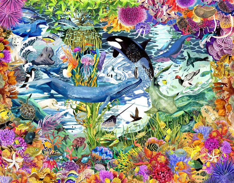 Wild Seas — spread1
