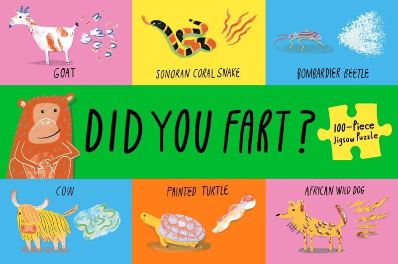 Did You Fart? cover