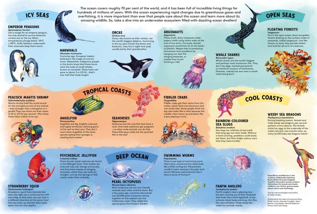 Into the Deep Sharing Puzzle — spread3