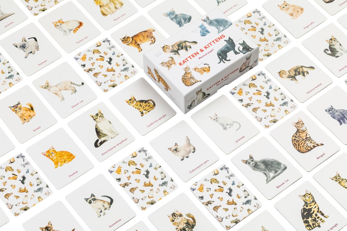 Katten & Kittens